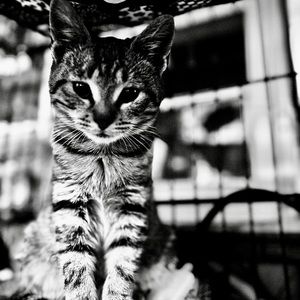 Meet your Posher, Sandra